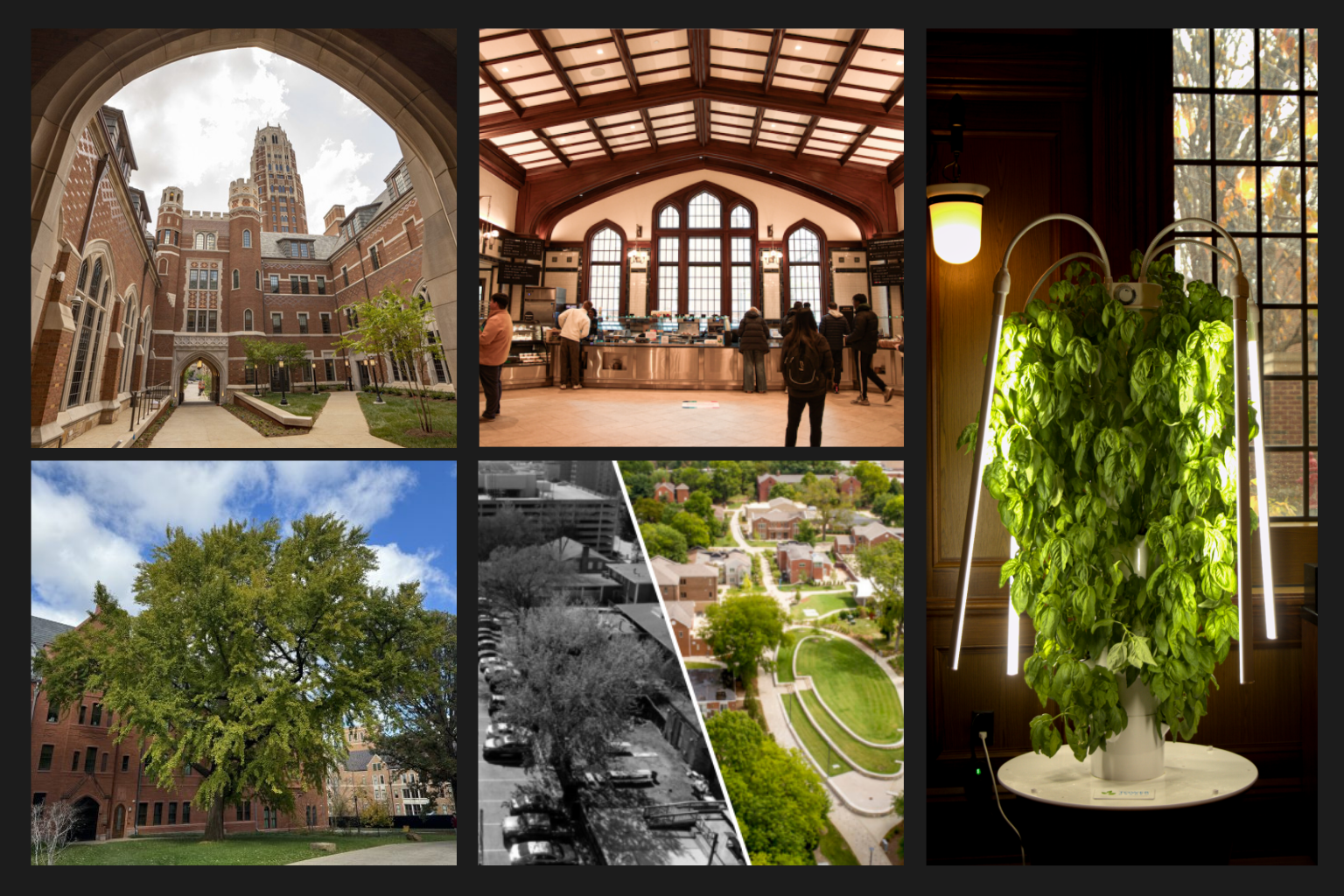 Several decorative images of the West End Neighborhood.
