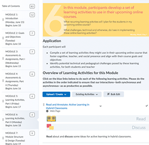 IRIS Module in Brightspace that highlights modules, learning objectives, content, assessment, and learning activity.