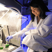 Vanderbilt University