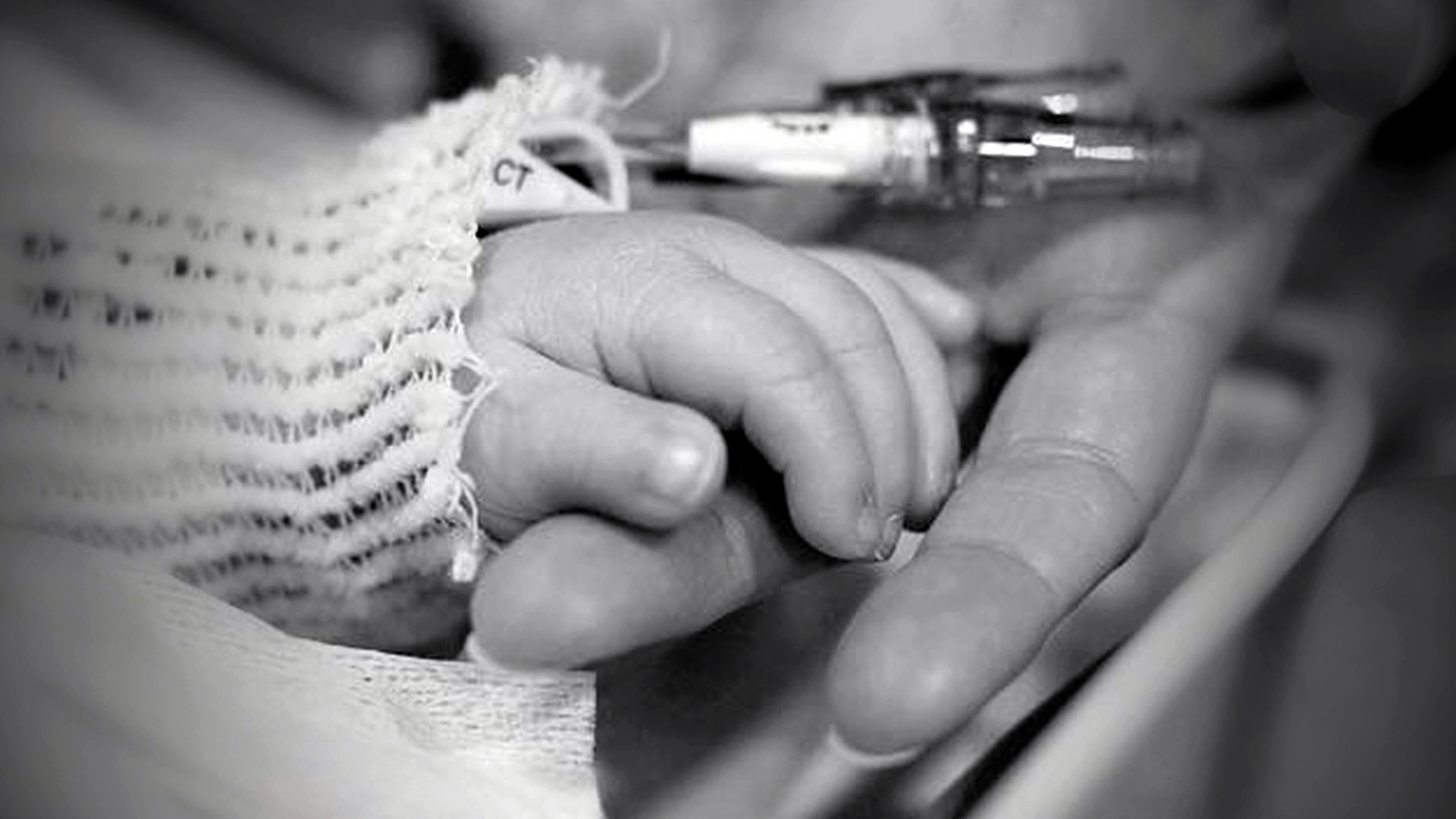 Vanderbilt University