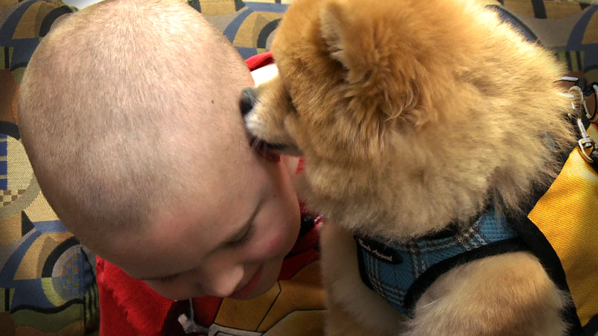 Vanderbilt University