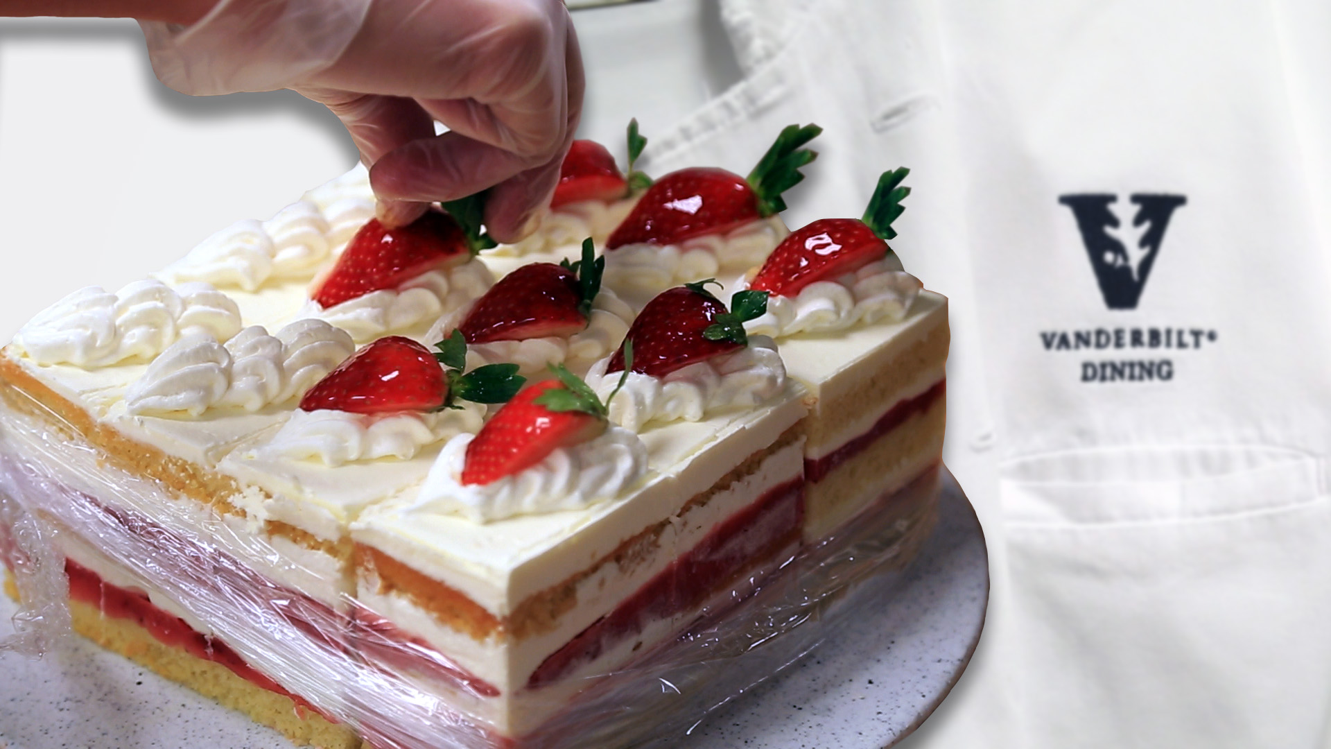 Vanderbilt University