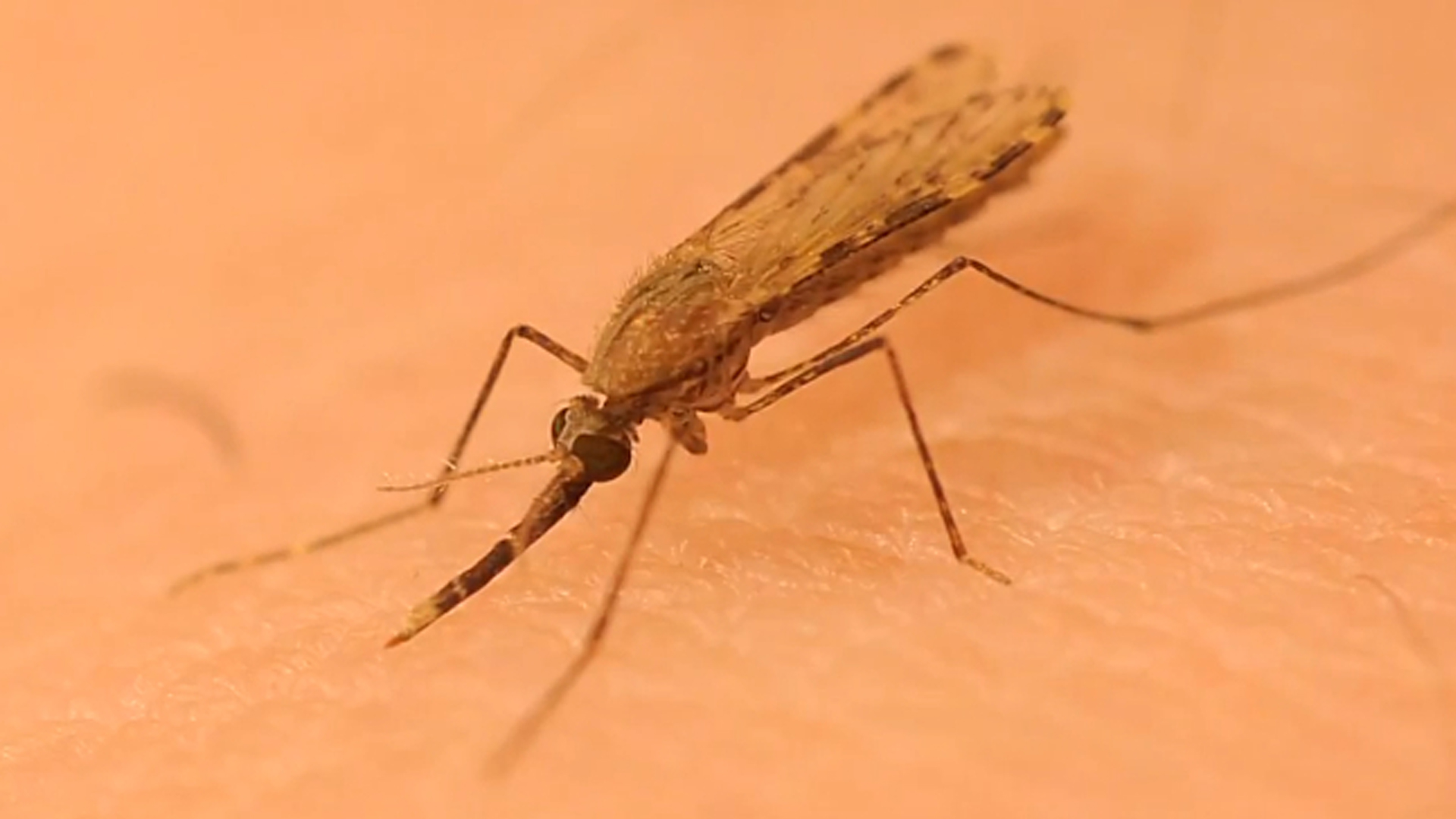 Vanderbilt University