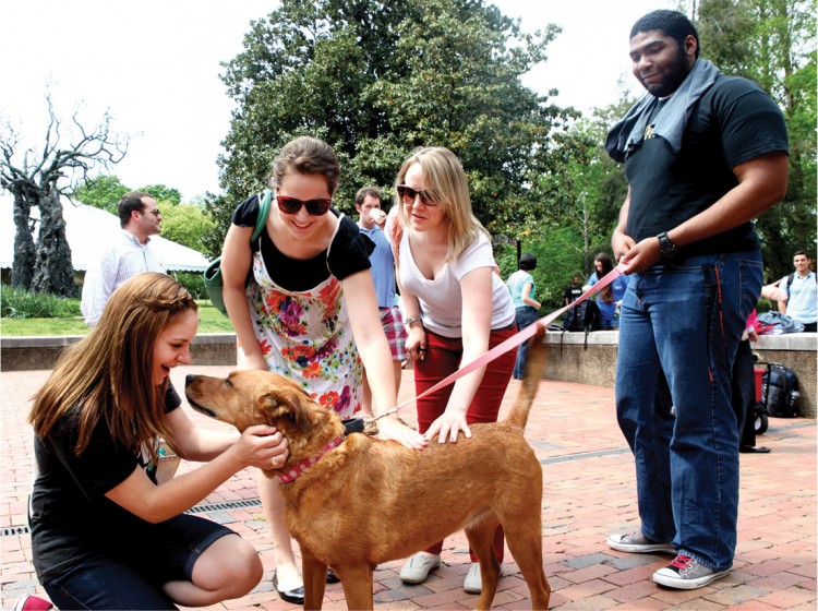 Vanderbilt University