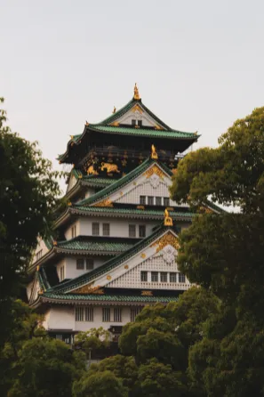Ankit Janamanchi in Japan "On a day trip to Osaka, my fellow scholars and I visited the grand Osaka Castle in the city's center. We probably sat outside the building for over an hour, taking in the breathtaking views. The entire time, I searched for the best angle to capture the castle and surrounding flora. As I walked back to my friends from a vending machine, this gap in the trees came into view."