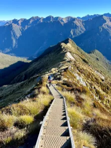 Solomon Tolson in New Zealand