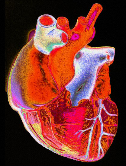 Vanderbilt University