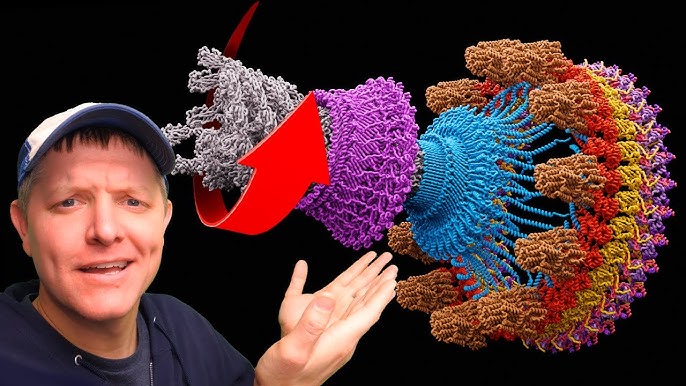 Screengrab of a video from YouTube channel "Smarter Every Day."