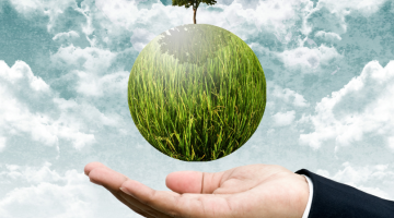 Pictured: A hand is cupping with the palm facing upwards. Above the palm is a circular image of grass with a tree coming out of it. The hand shows the cuff of a work shirt and jacket.