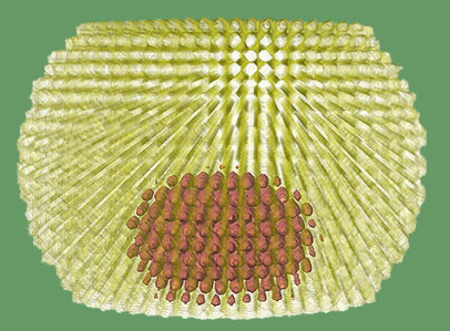 Vanderbilt University