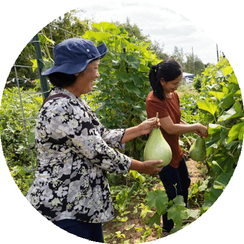 Two women pick plants in a garden