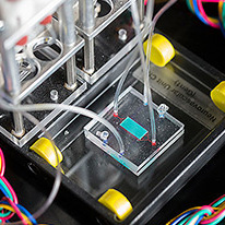 Vanderbilt University