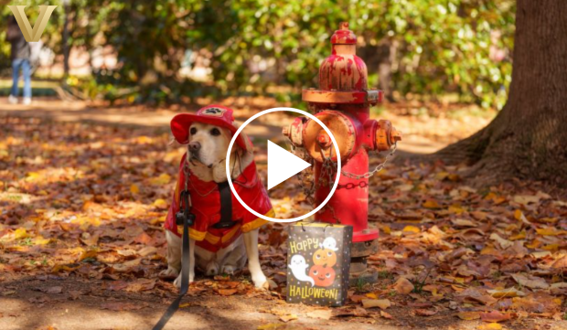 Officer Jack dressed as a firefighter 