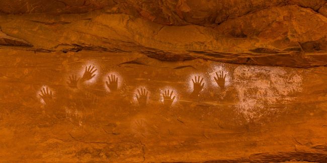 Vanderbilt University