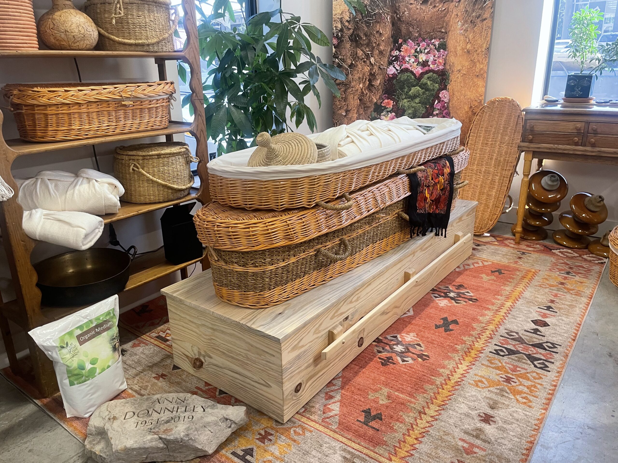 Larkspur Conservation Display room