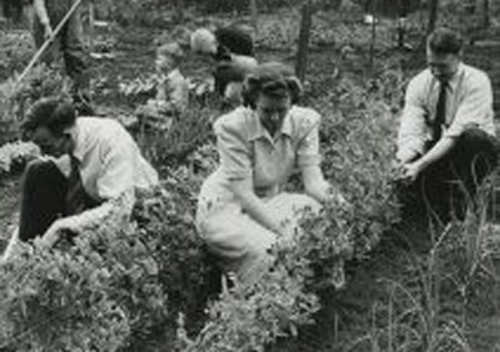 Vanderbilt University