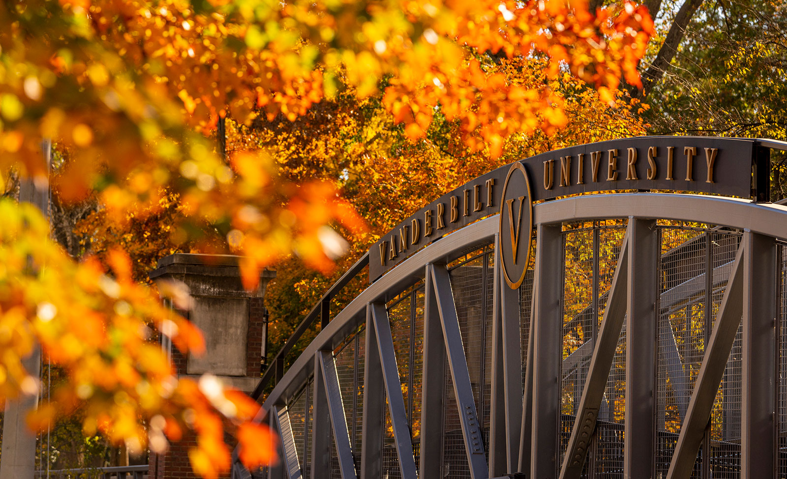 Photo of the Bridge over 21st Avenue