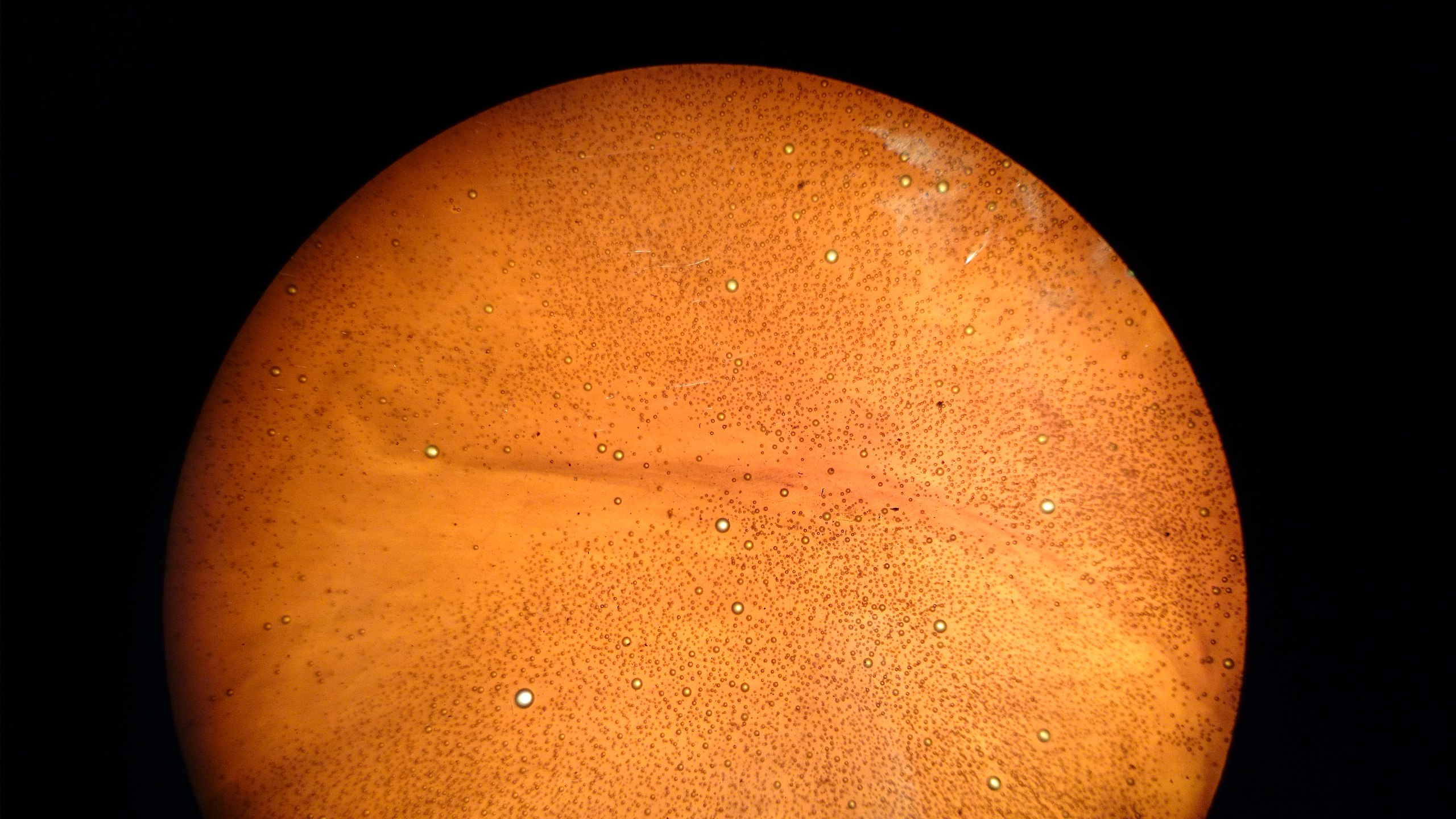 Antimicrobial Resistance