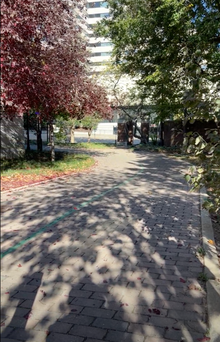 movevu walk and roll loop 1