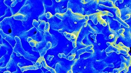 Vanderbilt University