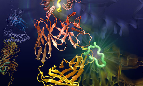 Vanderbilt University