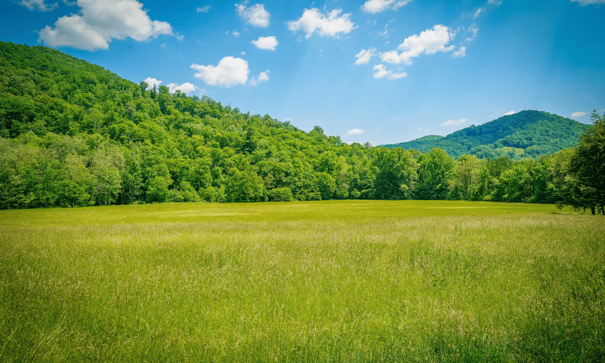 In a Polarized Era, Assessing the State of the Environment on a Local Level Takes on Extra Importance