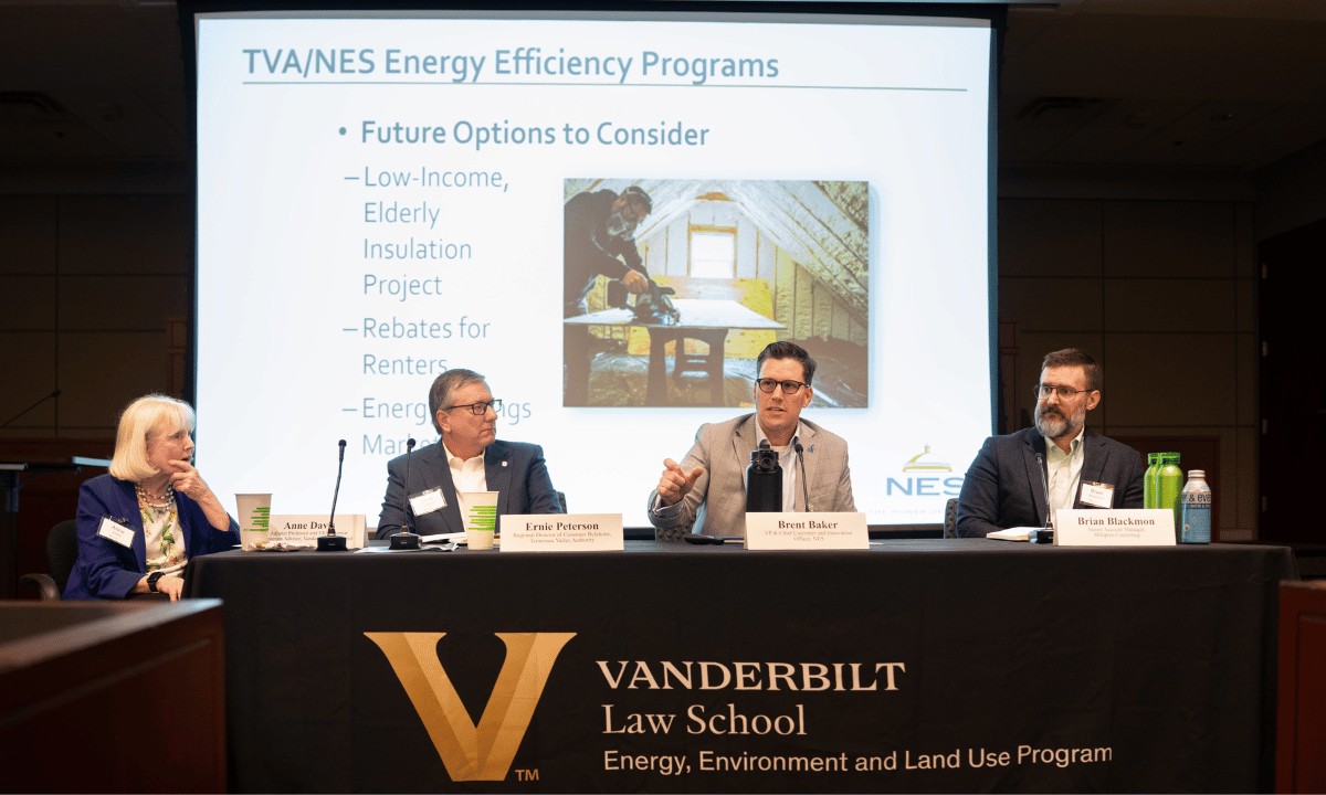 State of the Environment Energy Panel 2025