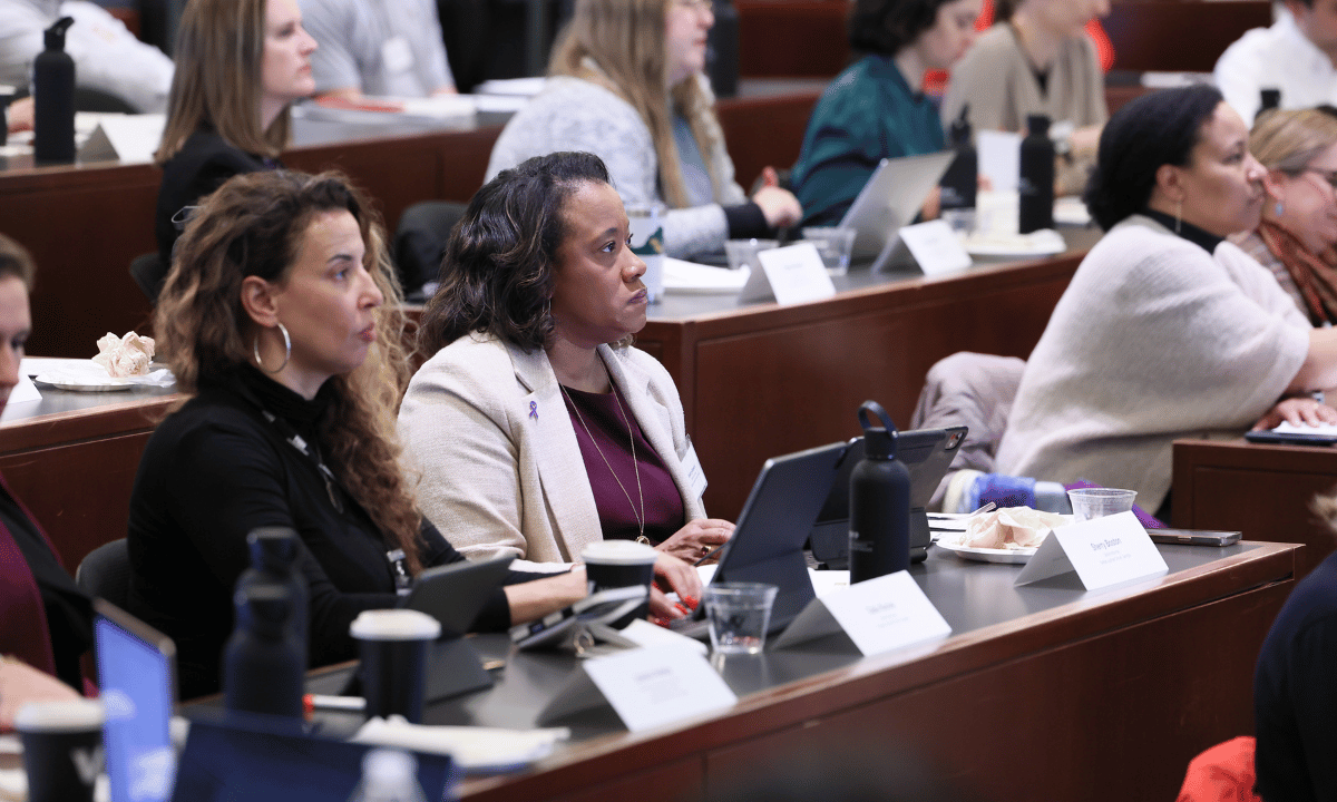 VPOPP Domestic Violence Prosecution Innovation Day