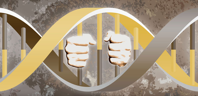 Vanderbilt University