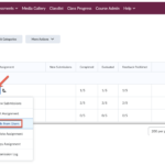 2022-02-22_09-50-20 hide assignment