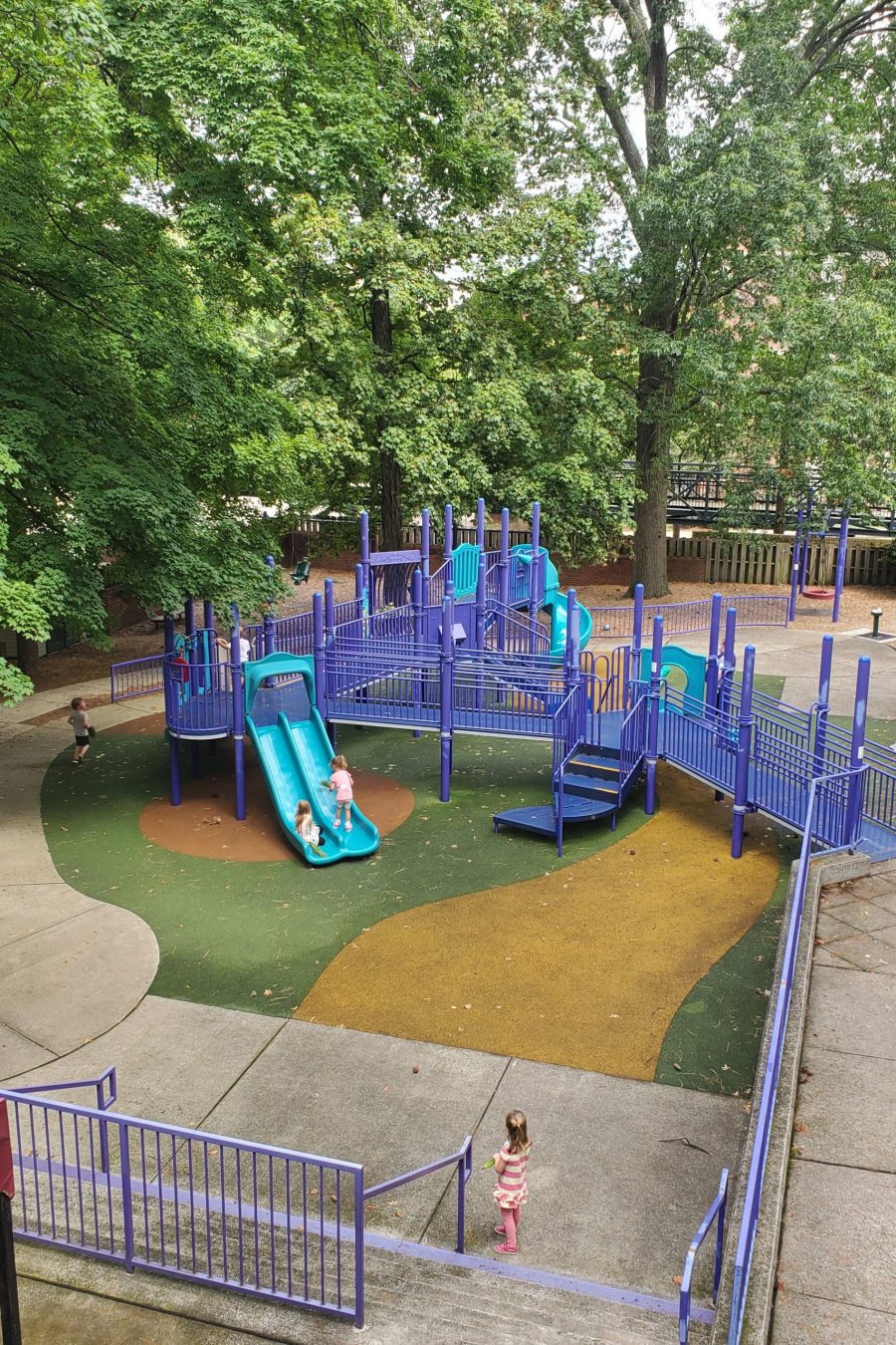 The Susan Gray School - playground area