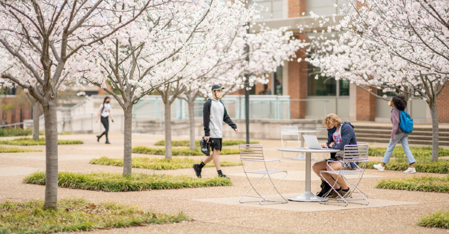 Students in the courtyard between the Student Life Center and Ingram Studio Arts.