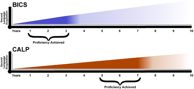 bics and calp proficiency charts BICS proficiency is achieved between the first and third year. CALP proficiency is achieved between the fifth and seventh year.