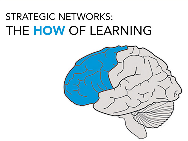 Strategic Networks: The How of Learning. The human brain with blue color coding that indicates the anterior portion of the brain or the strategic networks.
