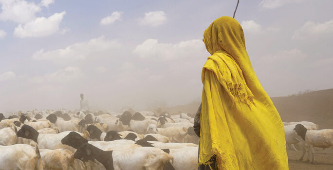photo of a woman goatherd making her way to a UN aid relief camp in Kenya