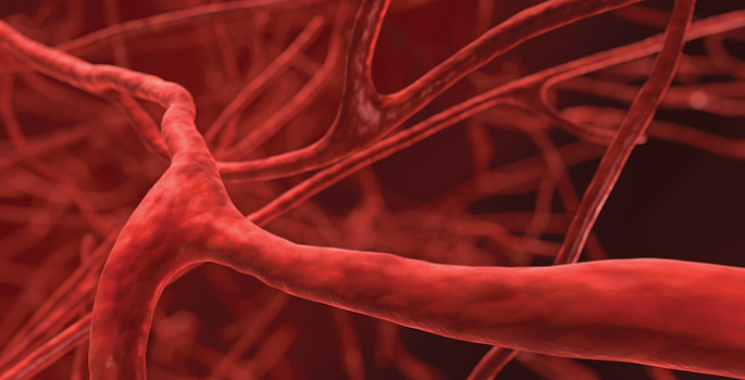 close up of blood vessels