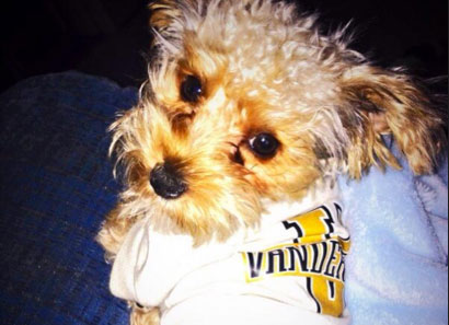 Vanderbilt University