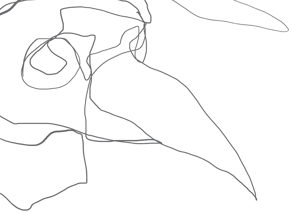 illustration of a medieval plague doctor in a bird mask