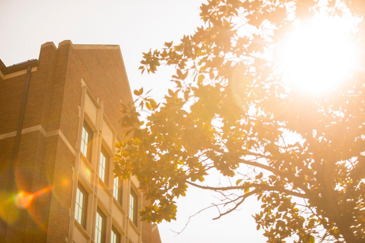 Vanderbilt University