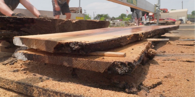 Vanderbilt University