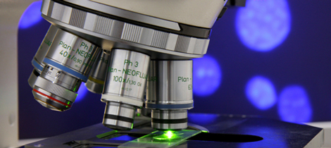 microscope-cells.jpg