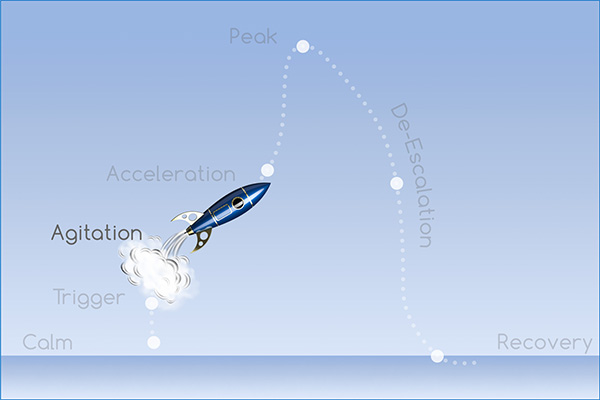 Acting-Out Cycle: Calm, Trigger, Agitation, Acceleration, Peak, De-Escalation, and Recovery Phases.