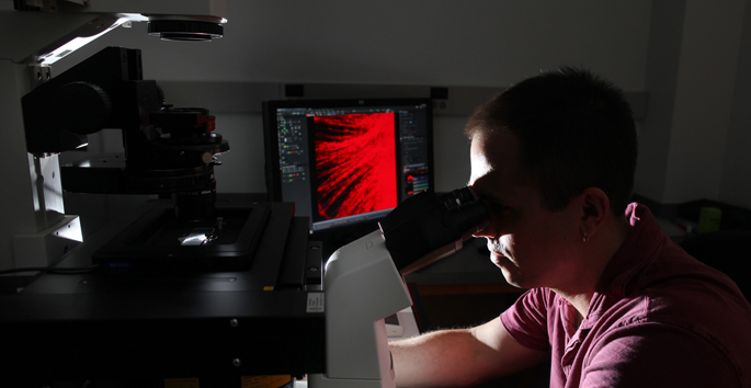 Vanderbilt University