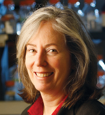 Vanderbilt University