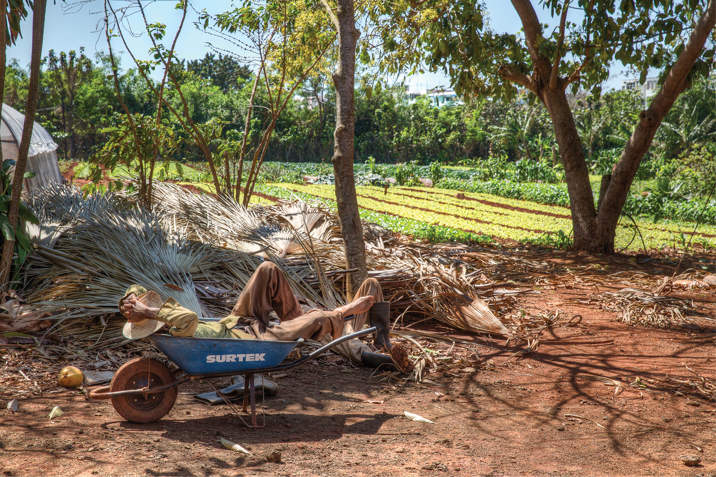 Vanderbilt University