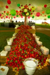 Strawberries and Champagne 2019