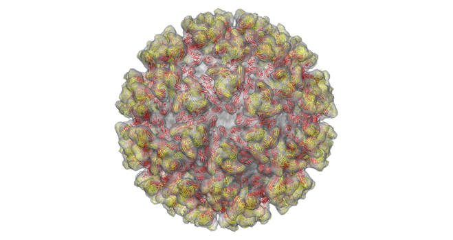 Vanderbilt University