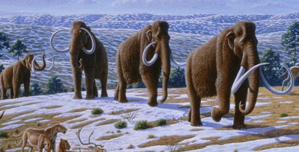 Wooly mammoths