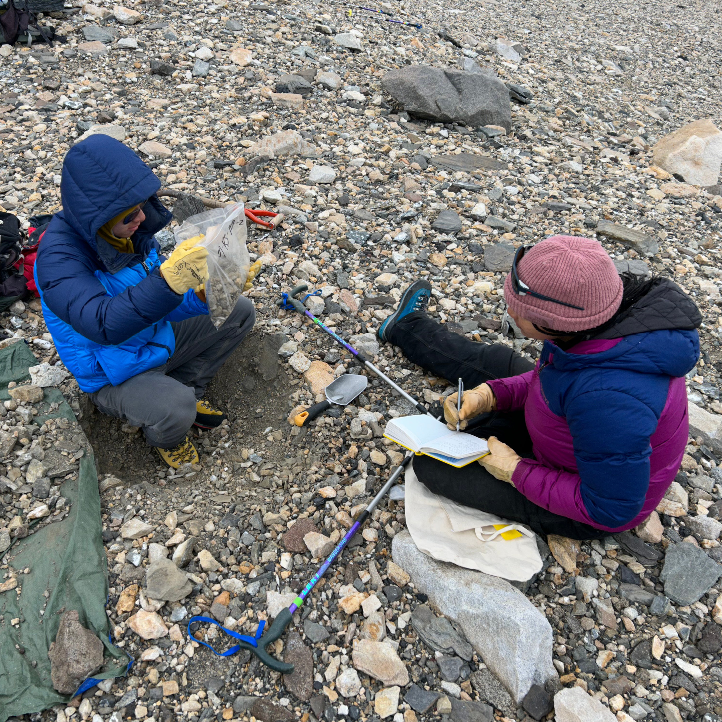 students performing field research