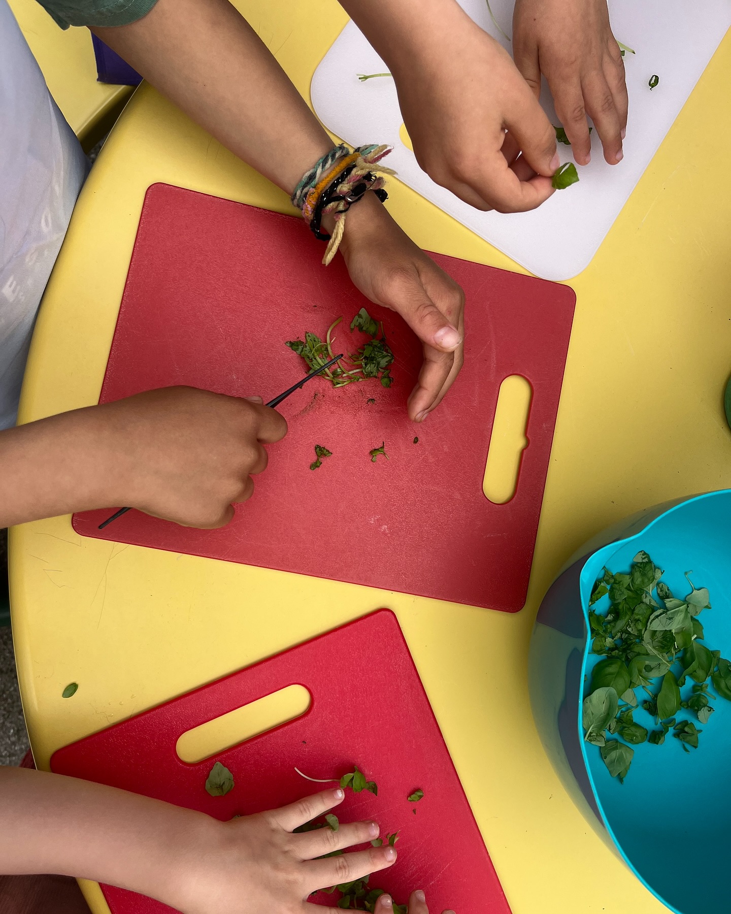 chopping microgreens